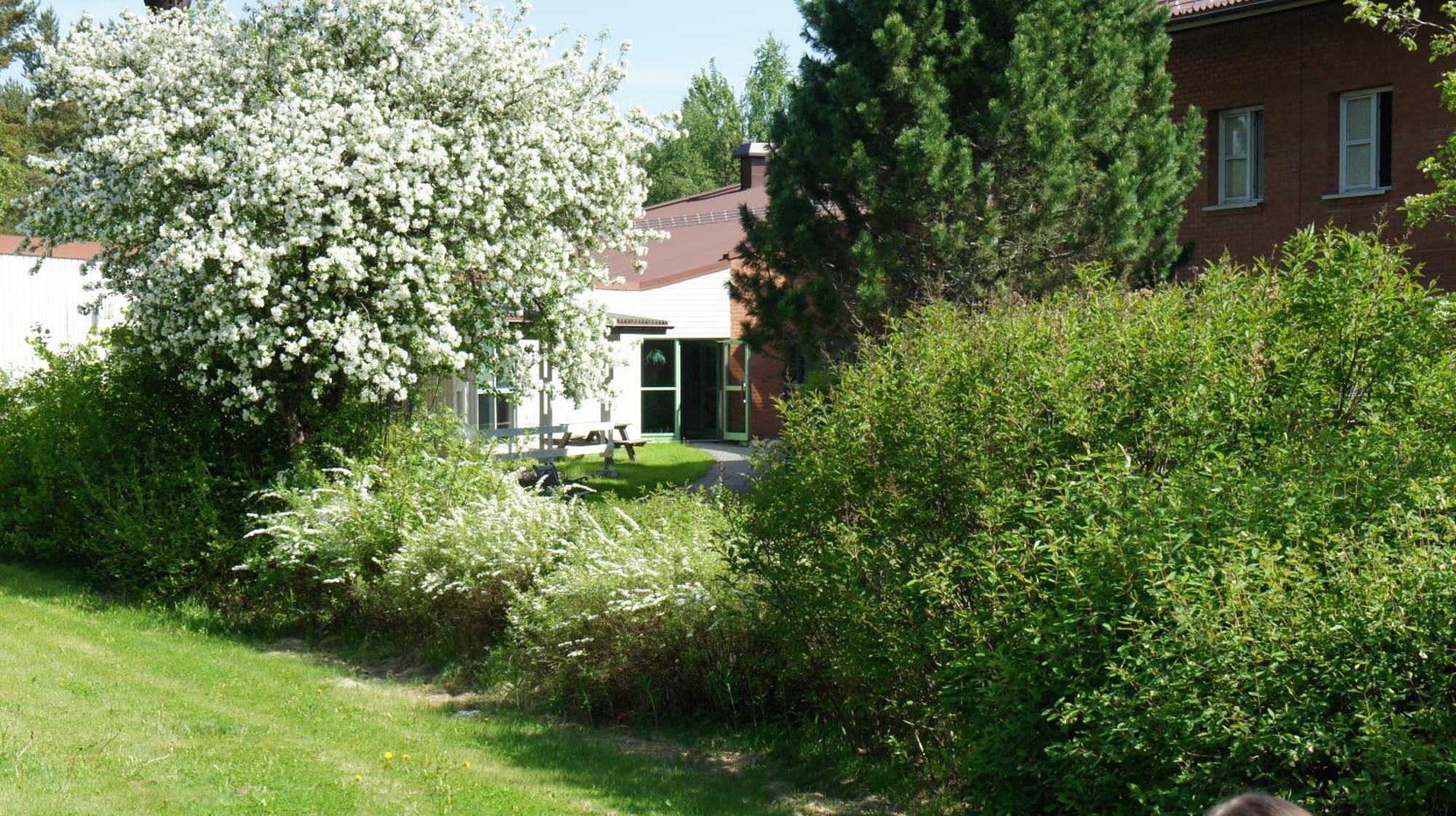 Hotell Vindelngallerian Esterno foto